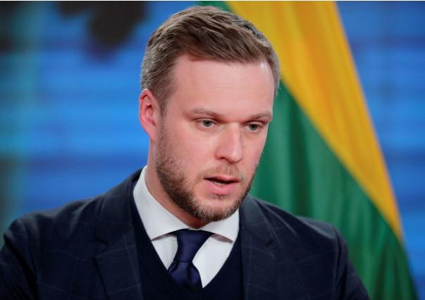 立陶宛外长正式提交辞呈