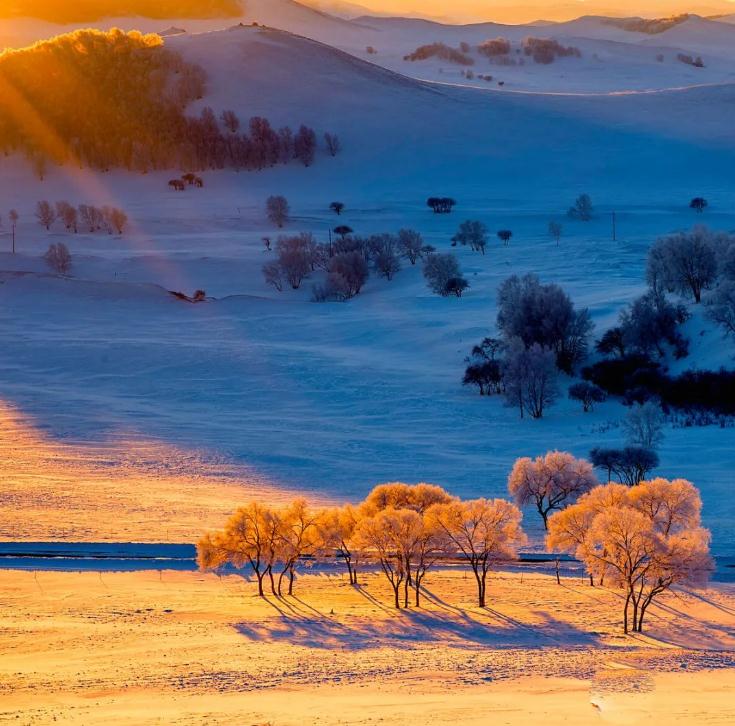 【冬季养生】体质虚寒怕冷？七招改善冬天手脚冰凉