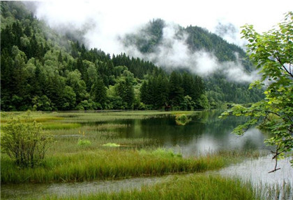 国学经典金代【论诗三十首】原文及解析