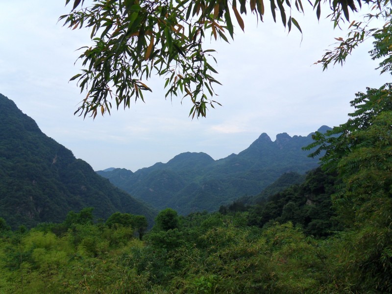 国学经典清朝诗词【度仙霞关题天雨庵壁】原文及解析