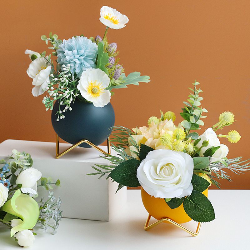 财位能放水生植物吗 财位宜摆放常绿植物