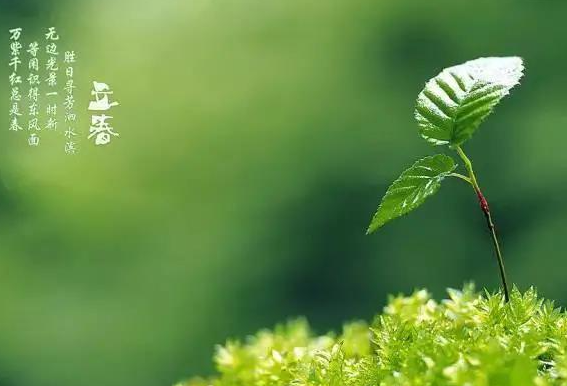 立春饮食和药膳 保肝养脾同样重要