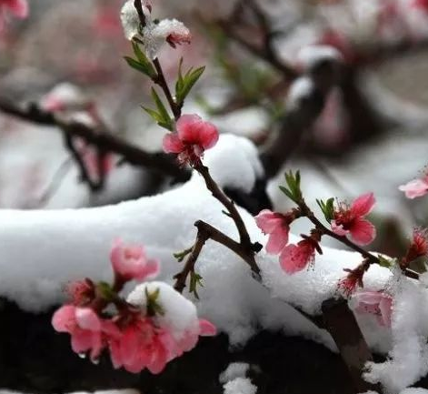 冬天是养肾的好季节 那么冬天养生要注意什么?