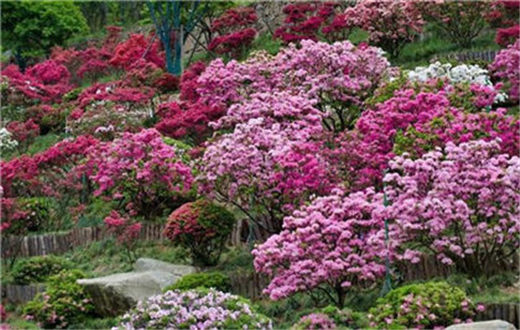 国学经典诗词【送蓬仙兄返里有感】原文及解析