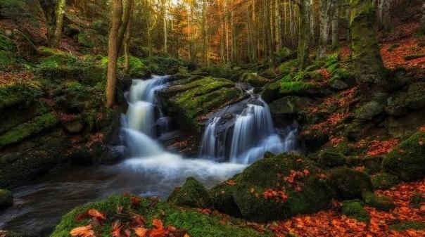 国学经典诗词【次皞如夫子伤时事原韵】原文及解析