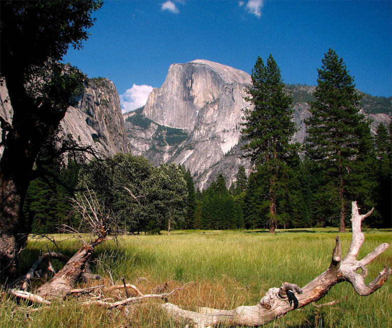 国学经典元曲【白鹤子】原文及解析