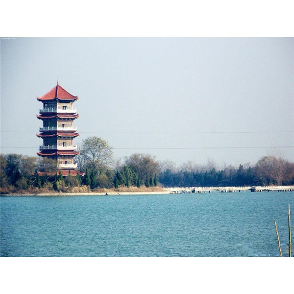 国学经典元曲【折桂令·赠胡存善】原文及解析