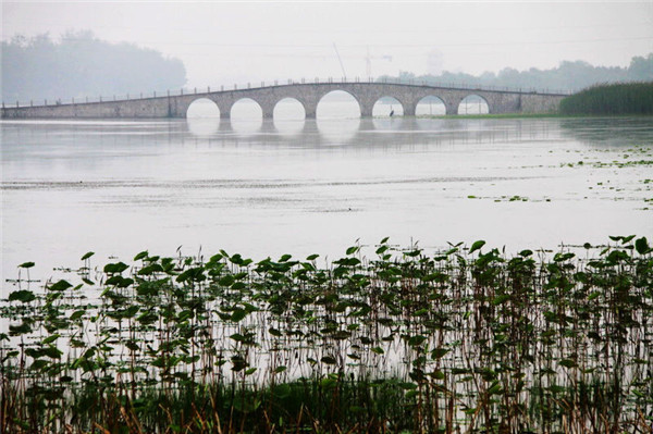 国学经典元曲【水仙子】原文及解析