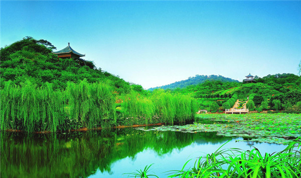 国学经典元曲【塞鸿秋·爱他时似爱】原文及解析