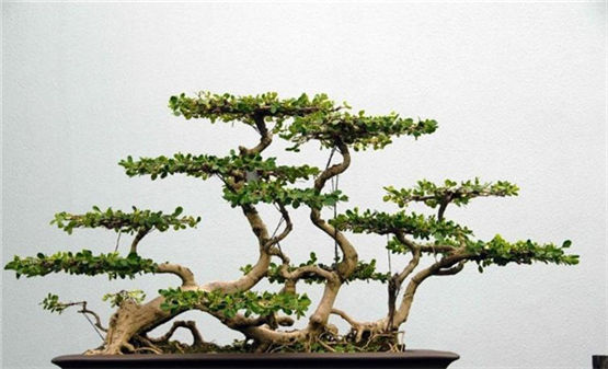 为什么没有吸引力但也不坏的男性不容易找对象？