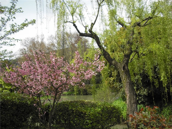 一个成熟男人应该是什么样的？