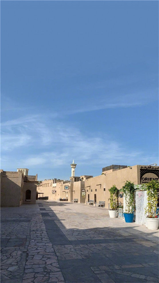 国学经典宋诗【惠崇《春江晚景》】原文及解析