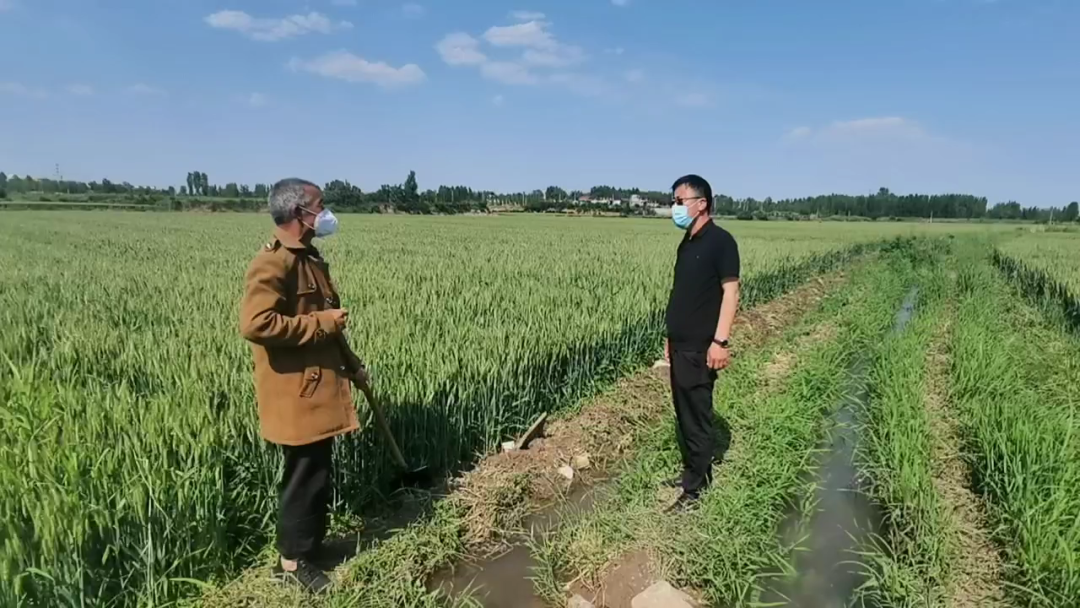 农民反映“承包土地浇地难” 河北磁县：经村干部努力 其承包的耕地已完成灌溉