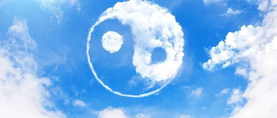 家里养几条鱼最有利于风水？