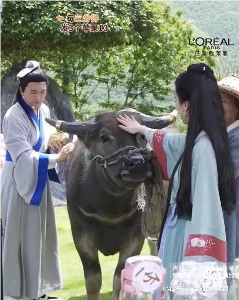 “霸总”杨子晋升带货一哥：老婆黄圣依的尬笑，暴露了一切