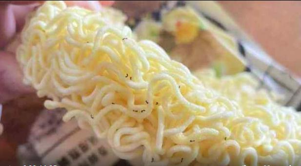 方便面面饼里满是蚂蚁？“网红”白象食品凌晨回应