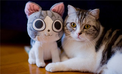 成语故事-掷果潘安