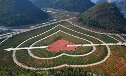 民间歇后语大全集锦　毛笋脱壳 — 节节高