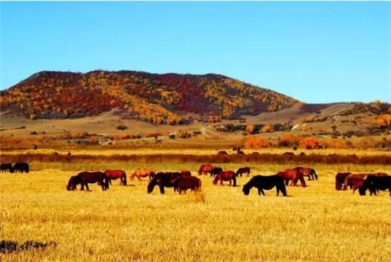 分手失恋后怎么做才能复合-（２）