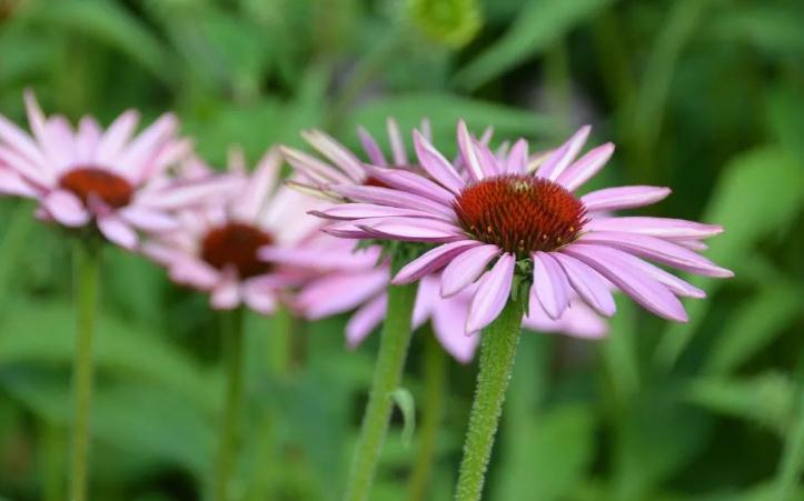已婚男人碰到这种情况该怎么办？