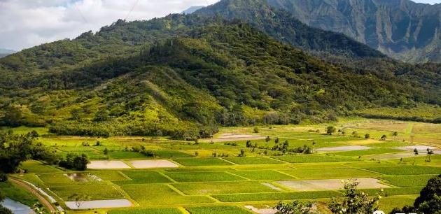 成语故事释义-一安然无羔