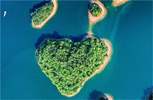 成语故事释义-一龟兔赛跑之后