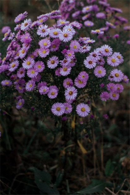 让男人终身难忘的完美约会是什么样的？（约会指南）