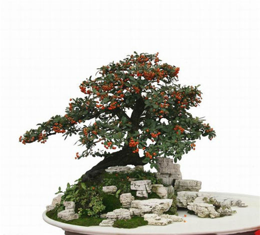 成语故事释义-一天壤王郎