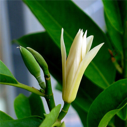 把一个男人当结婚对象时，有3点女人不可不知！