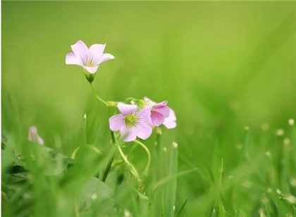 如何让一个对你越来越冷的男人，反过来对你热情起来？