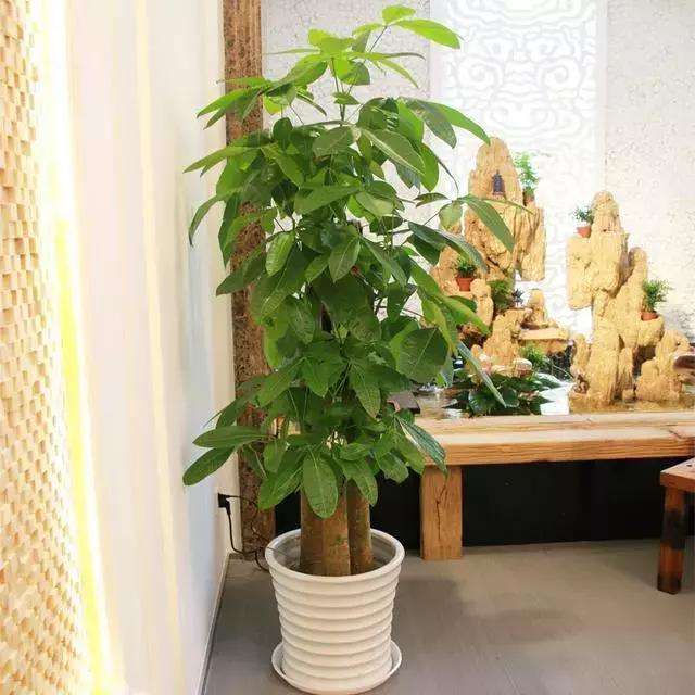 2022124ųбȱʲôʲôѯ