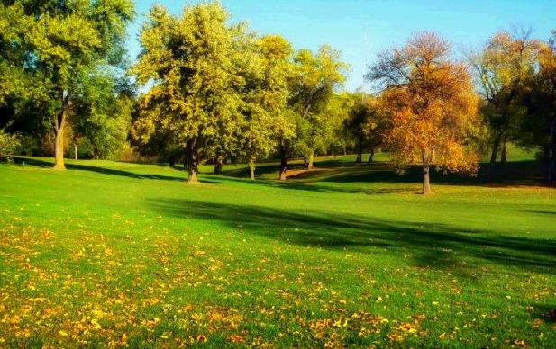 《强弓劲弩》成语故事及解析