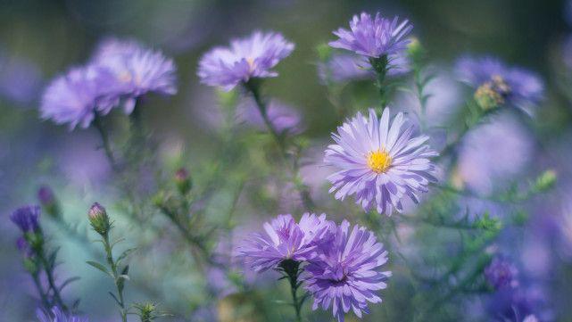 歇后语笑话（精选200则）１