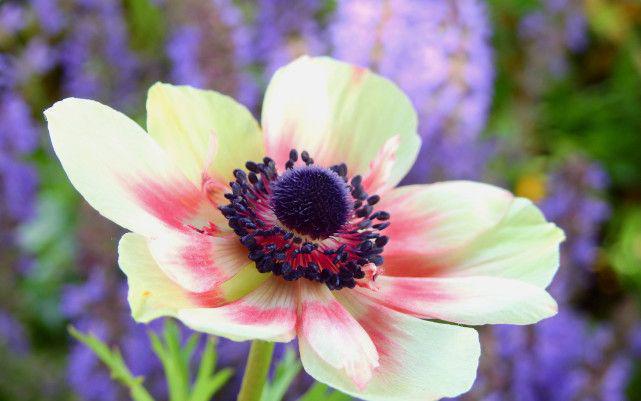 歇后语笑话（精选200则）２