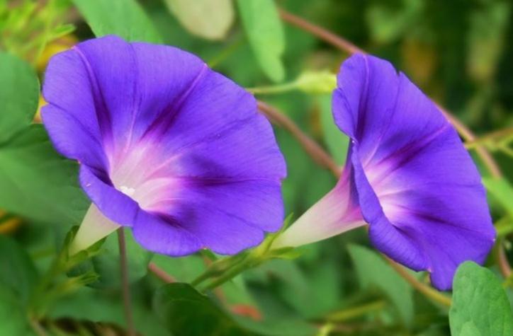 懂得这几点，再难的婆媳关系也能搞定！