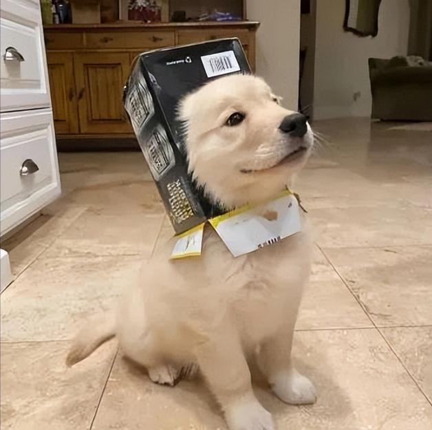 聊天时的有趣歇后语