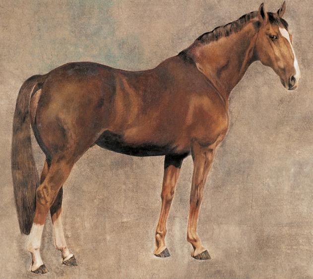 《唇齿相依》成语的典故及释义