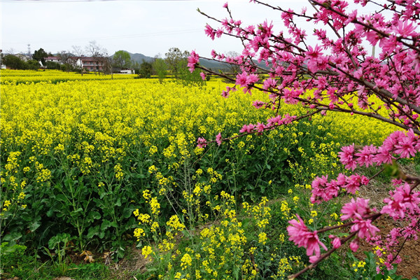 相亲认识的女生，不知该如何推进关系？