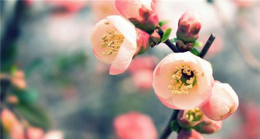 偶然发现男友国庆期间瞒着我和其他女生出去旅行，是否要跟他分手？