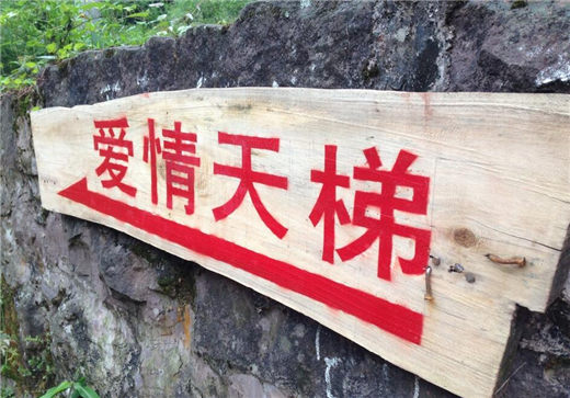 和女朋友相处过程中出现矛盾和问题，请问我该如何办？