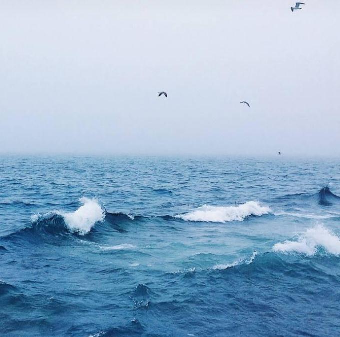 《循序渐进》成语的典故及释义