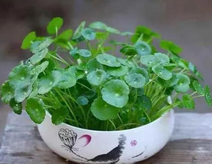 不会阿谀奉承领导，也看不起这些行为职场还有戏吗？