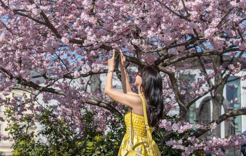 为什么职场：做的越多，死的越快？