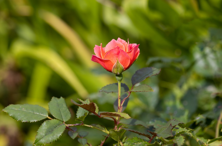 公司逼你自动离职的五个套路