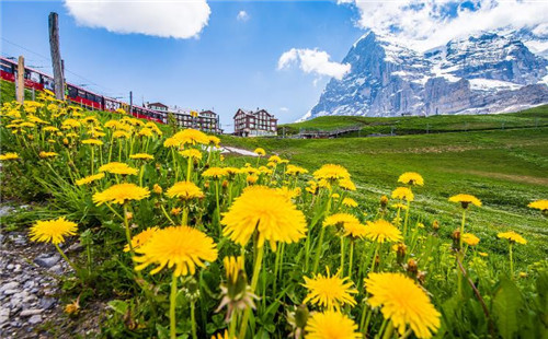 酒局上遇到“不喝酒就是不给我面子”，该怎么办？