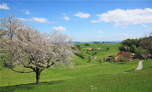 职场上，领导最讨厌的七种员工