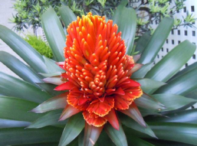 警惕招聘陷阱：惯用的招聘陷阱策略，识别之后不上当