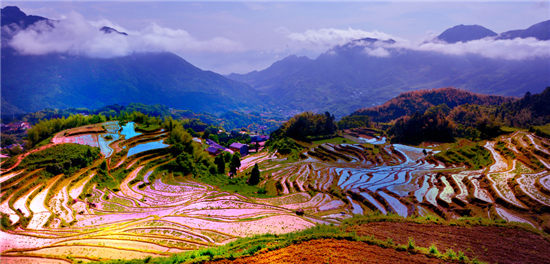 终极控制术：解析5大控制术好处与坏处