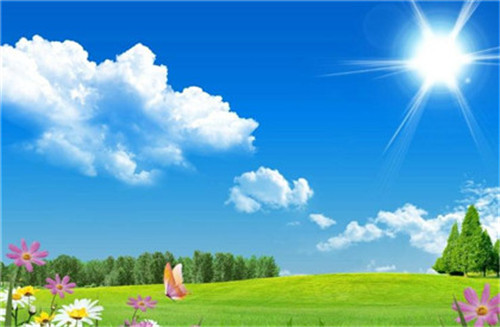 职场上没有野心的员工不是好员工