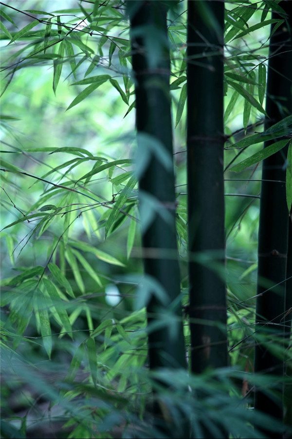 办公室工作要做到“十要十不要”